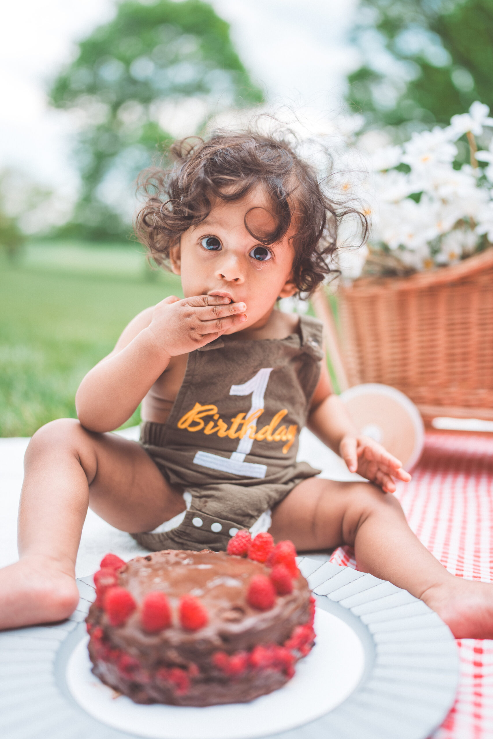 One-year-old sitting beside a birthday cake during a first birthday milestone session outdoors.