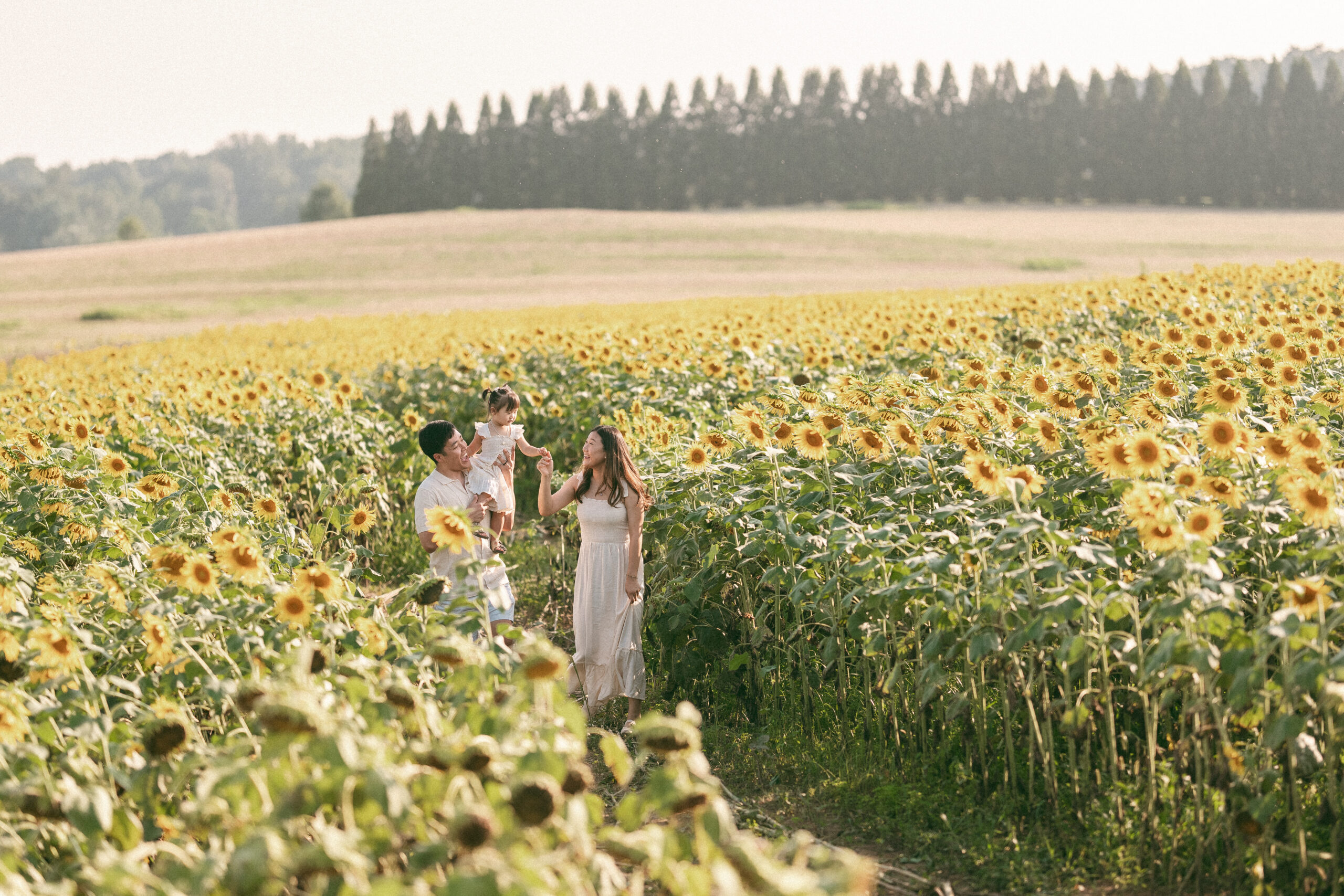 Family walking and playing together among rows of sunflowers in the warm evening light.
