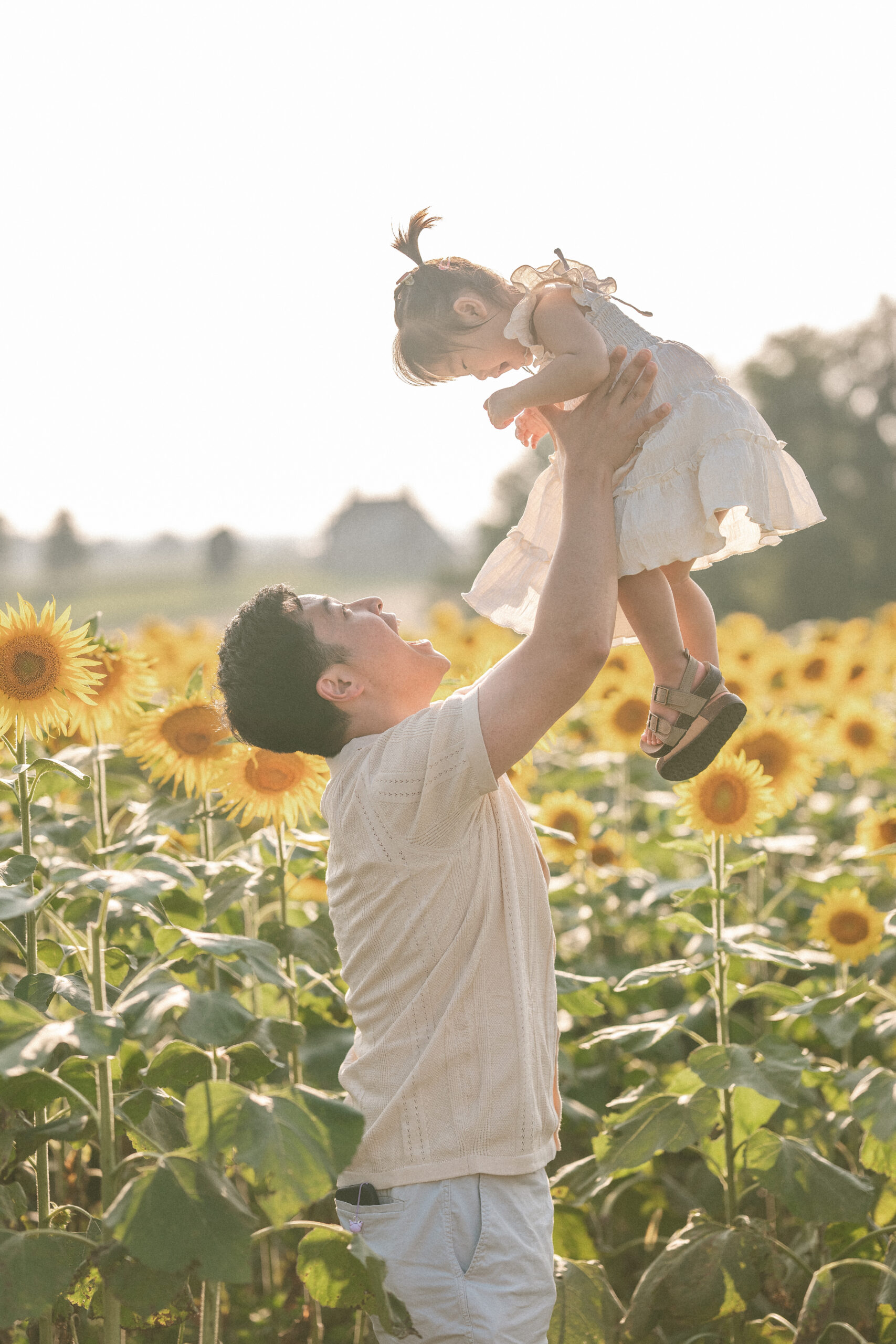 Dad lifting his young daughter into the air during seasonal family sessions surrounded by blooming sunflowers.