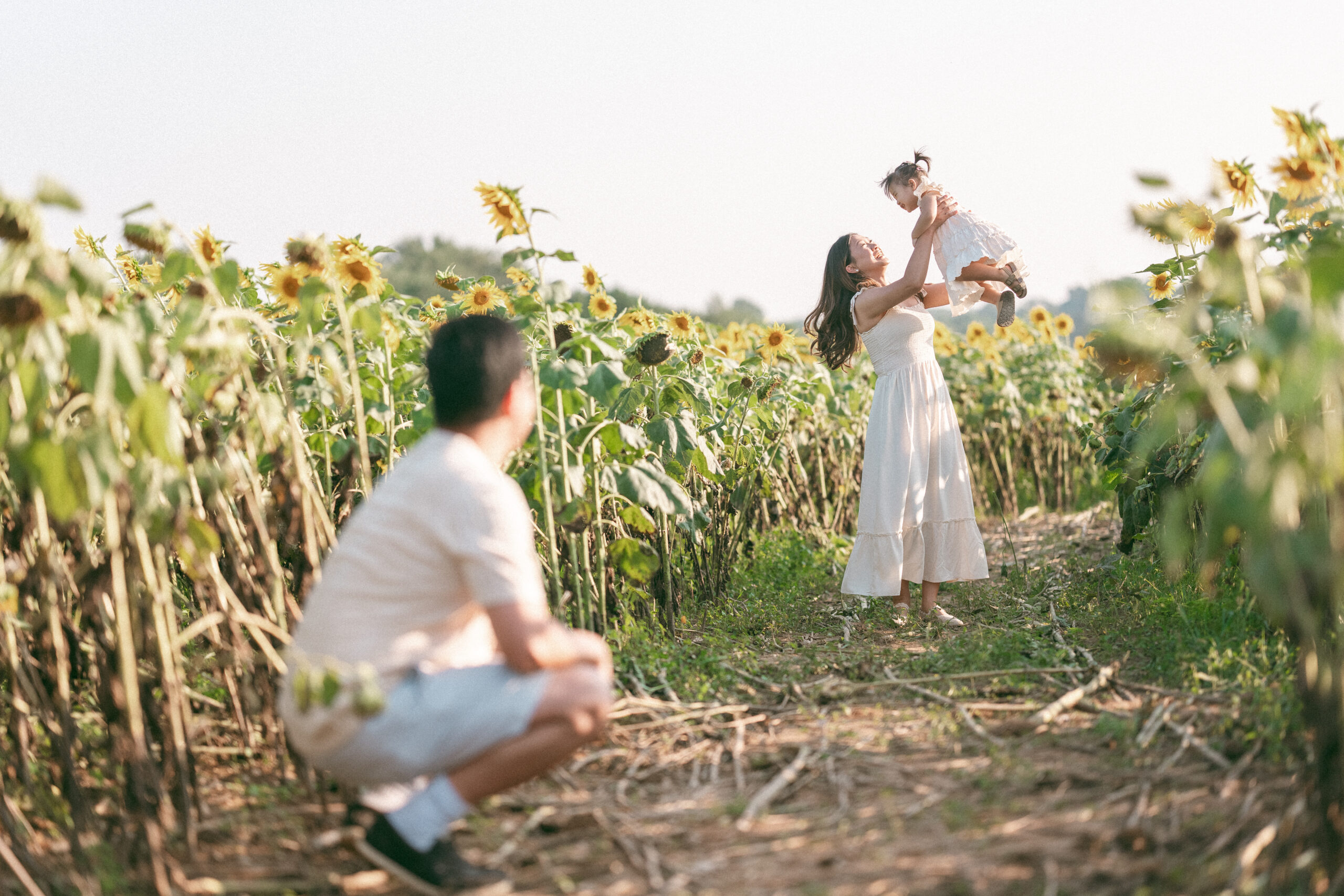 Mom lifting up a toddler in sunflower fields as dad looks on.