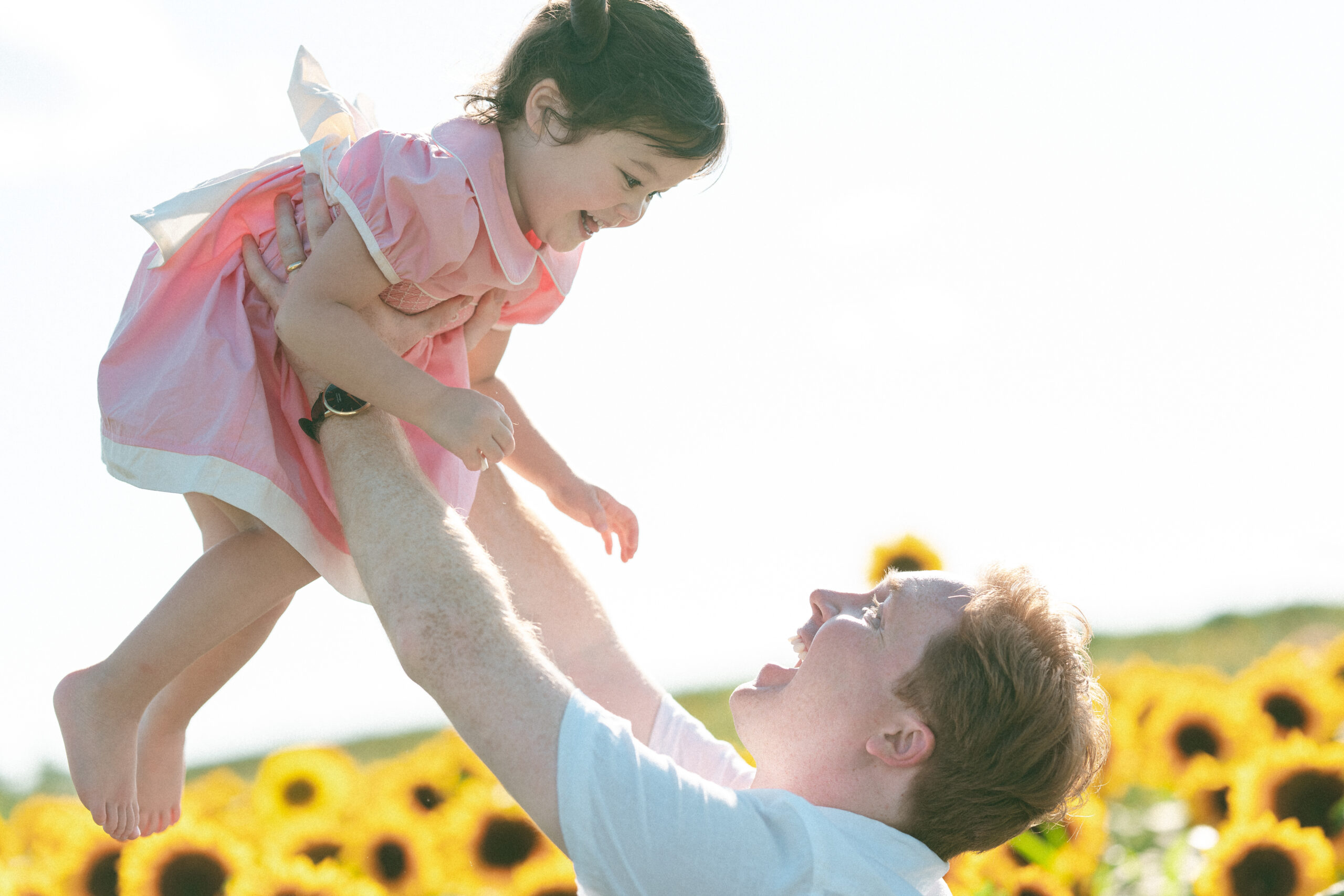 A dad lifts up a laughing toddler in sunflower fields during their seasonal family sessions.