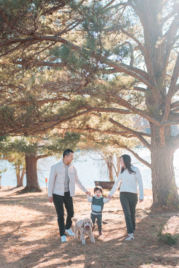 Family walking hand in hand with their young son and dog beneath tall pine trees during Seneca Creek State Park family photos.