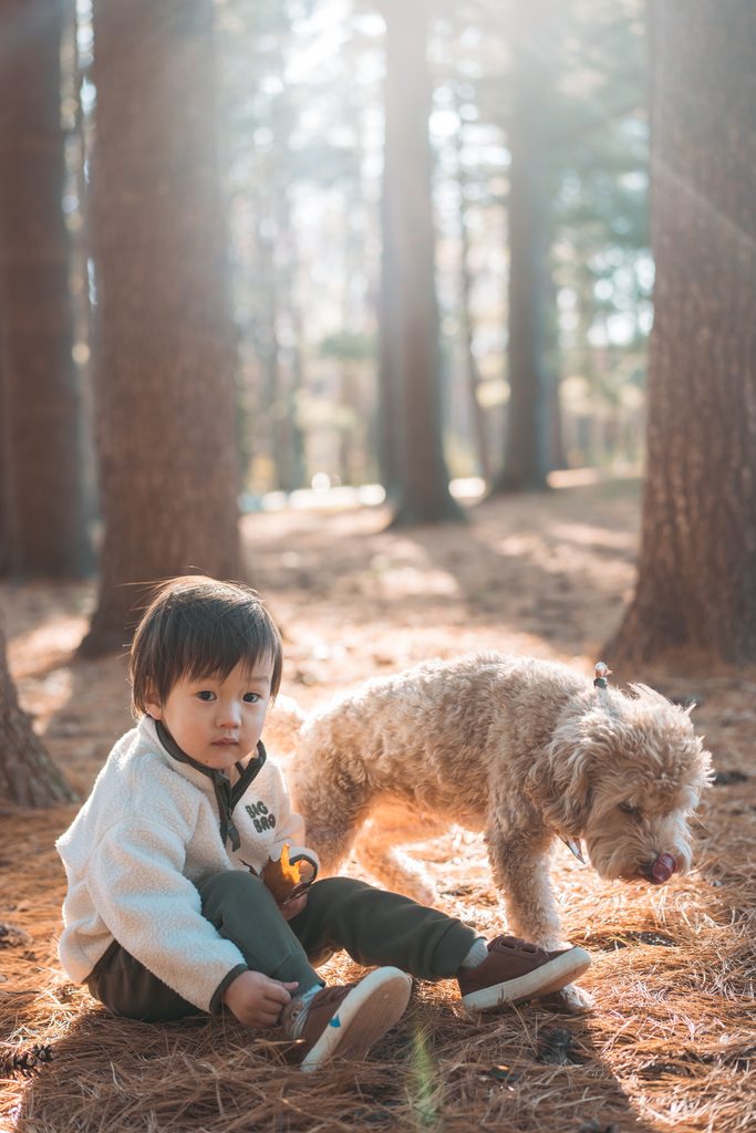 Young boy sitting on the pine-covered forest floor beside the family dog in warm afternoon light.