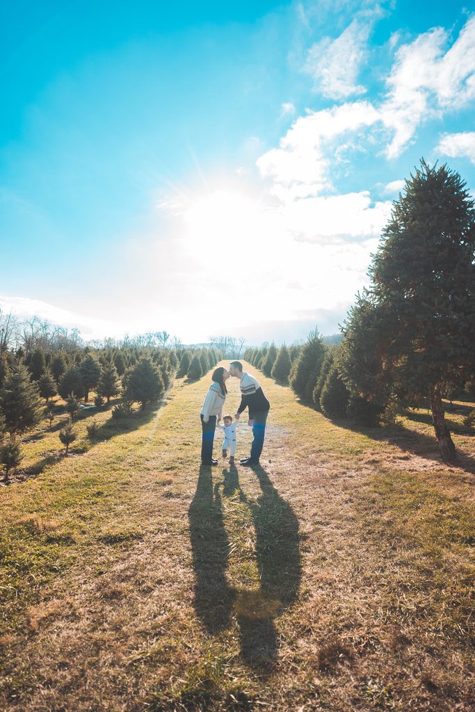 Parents holding hands with their toddler between rows of Christmas trees during a sunny holiday mini session.