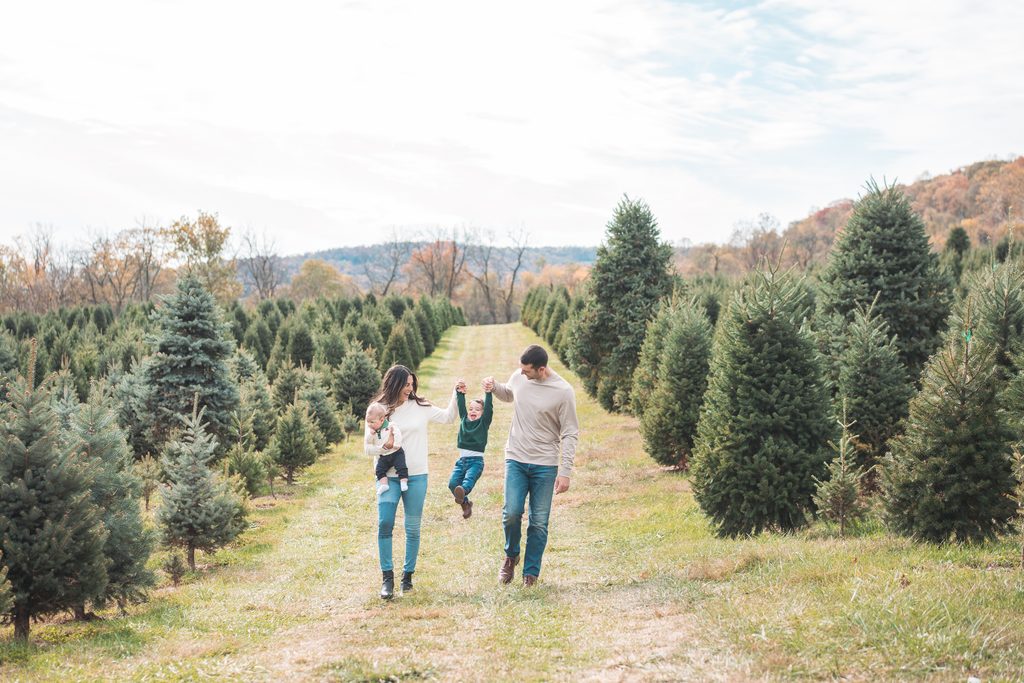Family of four walking between rows of Christmas trees while playfully swinging their young son by his hands.